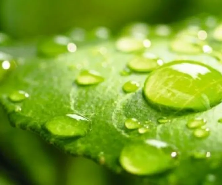 Comité consultatif en Environnement
