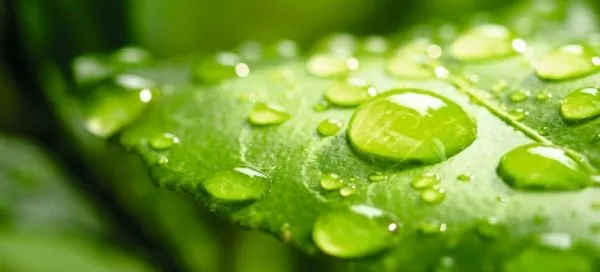Comité consultatif en Environnement